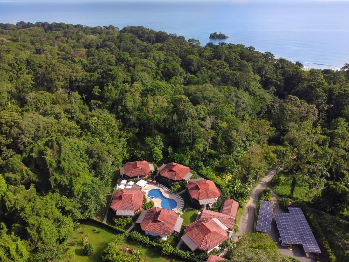 Terrazas Del Caribe Hotel Puerto Viejo de Talamanca Eksteriør bilde